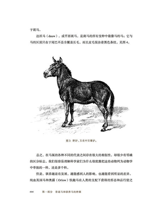 世界良马(博物之旅) 商务印书馆 商品图4