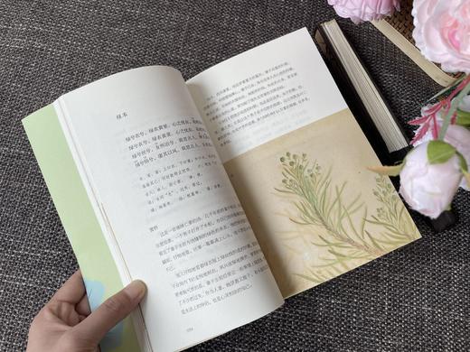 【现货！48小时发货】慢读吧系列：花间集+东坡乐府+诗经选+纳兰词（共4册） 商品图7