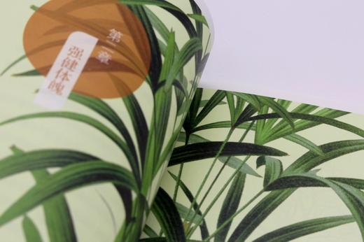 植物的身体（北大植物书系） 商品图7