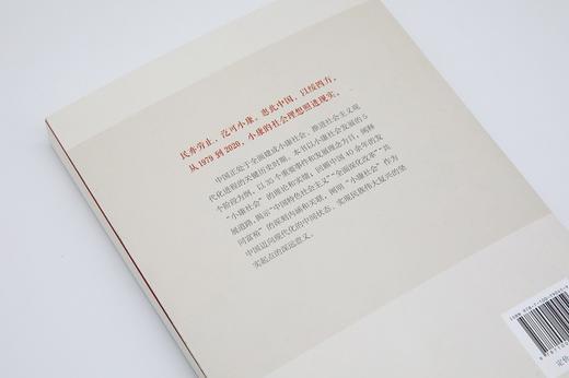 小康的真谛 商品图3