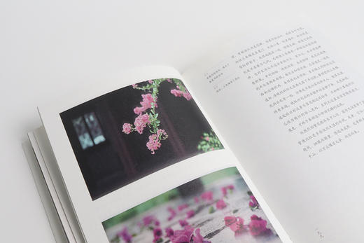 (仓发) 古色之美（八大色系七十余种传统美色， 一本读懂古人的文化生活，审美情趣）【浦睿文化出品】/湖南人民出版社/青简/9787556122721 商品图7