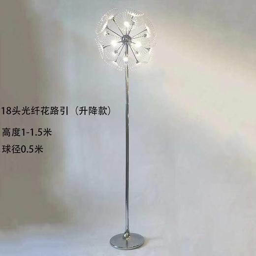 18头光纤花路引（运费自理） 商品图0