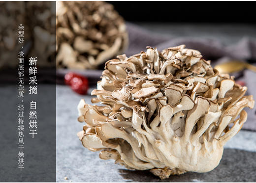 中粮初萃有机灰树花50g 商品图3