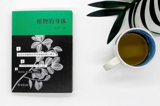 植物的身体（北大植物书系） 商品图6