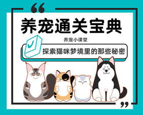 探索猫咪梦境里的那些秘密