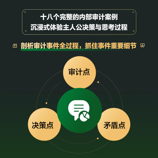 内部审计情景案例：理解审计行为，辨析审计决策 合规管理 内审理论实务 审计实务经验 商品图3