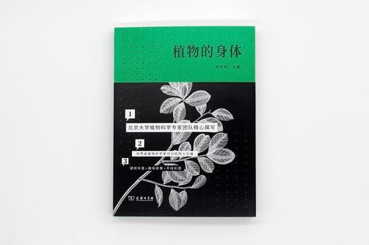 植物的身体（北大植物书系） 商品图1