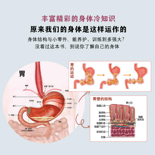 人体修复手册 商品图4