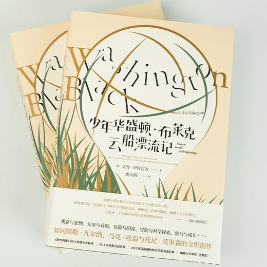 (仓发) 少年华盛顿·布莱克云船漂流记/中信出版集团/艾西·伊杜吉安/9787521731248 商品图3