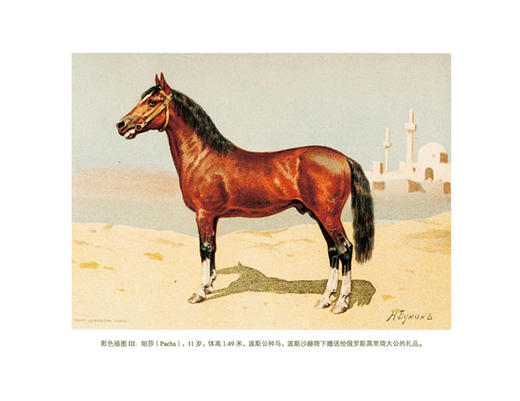 世界良马(博物之旅) 商务印书馆 商品图2