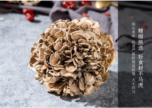 中粮初萃有机灰树花50g 商品图4