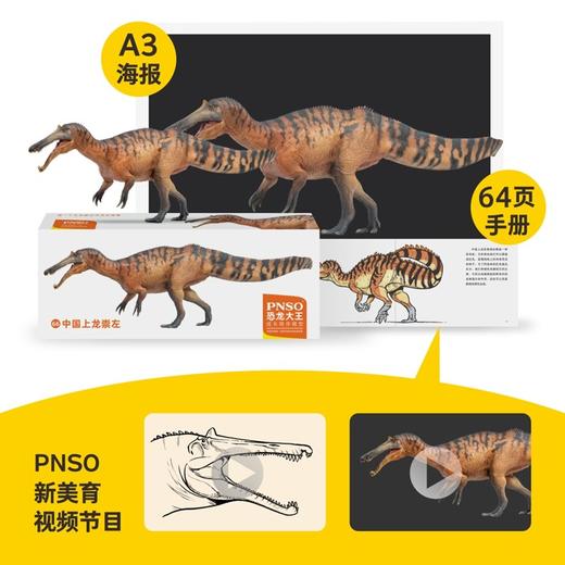PNSO中国上龙崇左恐龙大王成长陪伴模型66 商品图1