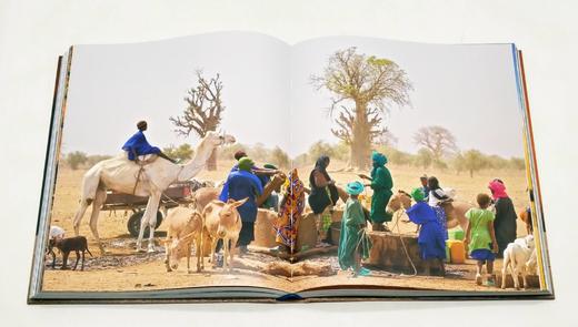 《极限地球》，精装8开巨册，北京日报出版社2022年版，定价980，售价498元。 商品图10