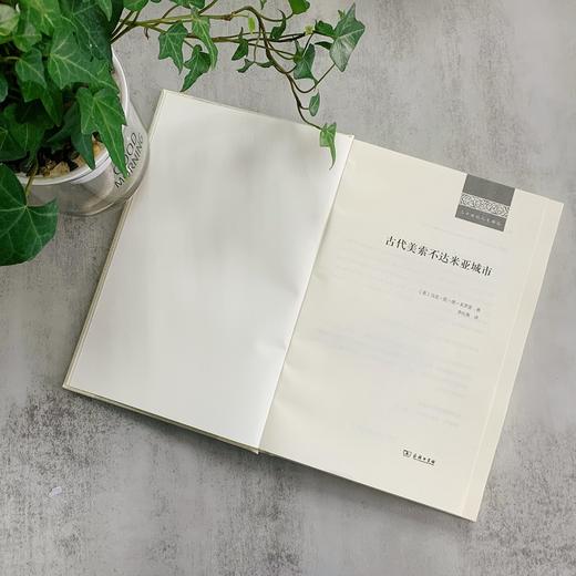 古代美索不达米亚城市（二十世纪人文译丛） 商品图2