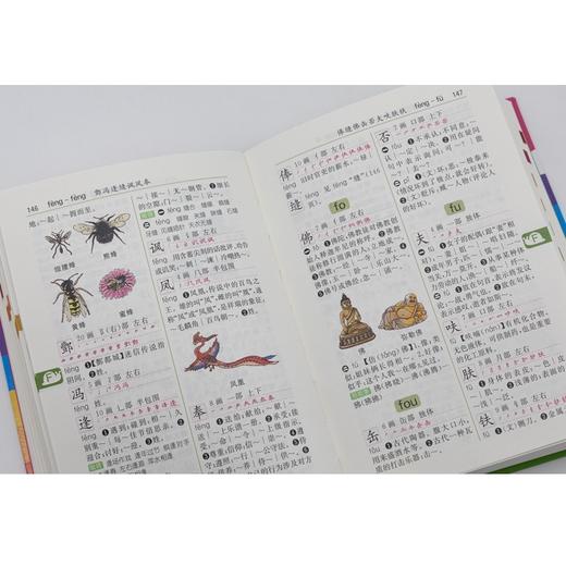 商务馆小学生多功能字典(彩图本) 商品图7