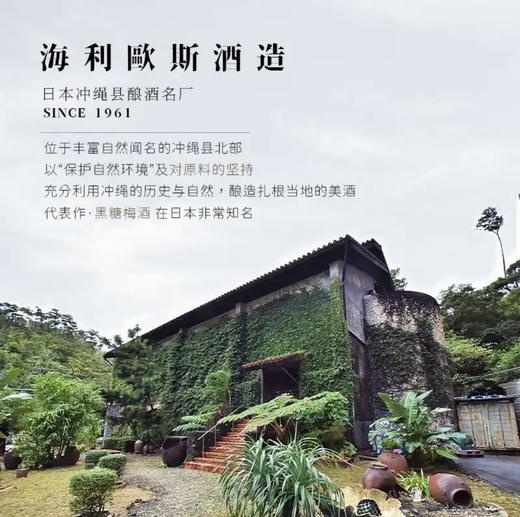 【连续20年金奖】海利欧斯酒造黑糖梅酒 日本原瓶进口 15%vol 商品图3