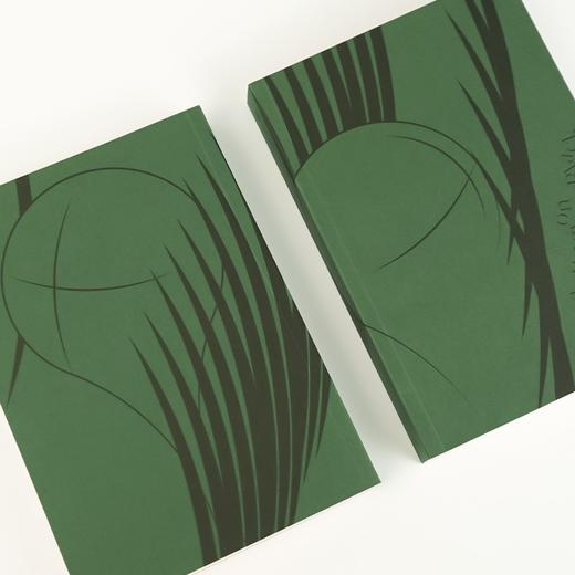 (仓发) 少年华盛顿·布莱克云船漂流记/中信出版集团/艾西·伊杜吉安/9787521731248 商品图2