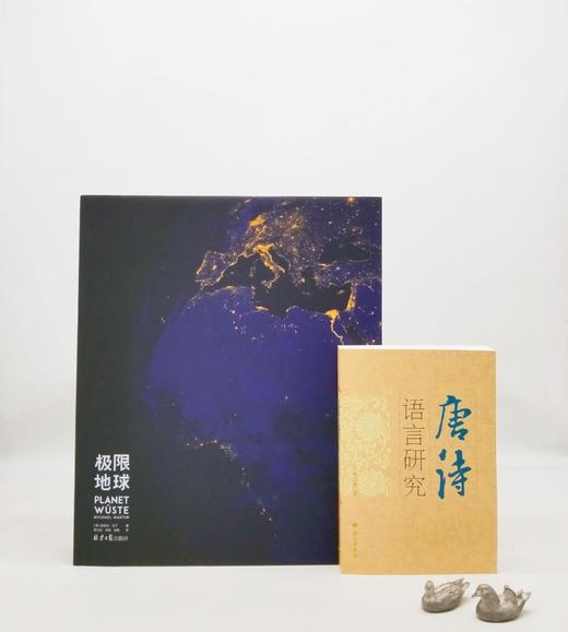 《极限地球》，精装8开巨册，北京日报出版社2022年版，定价980，售价498元。 商品图2