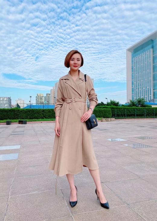 商务优雅连衣裙 商品图0