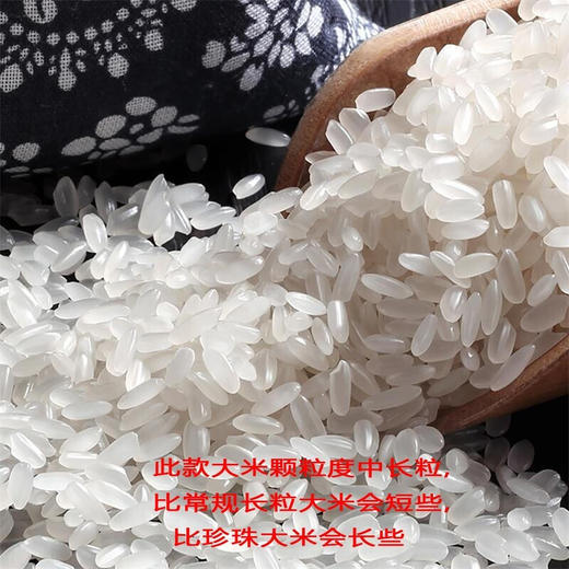 金龙鱼东北优选长粒香米5kg 商品图2