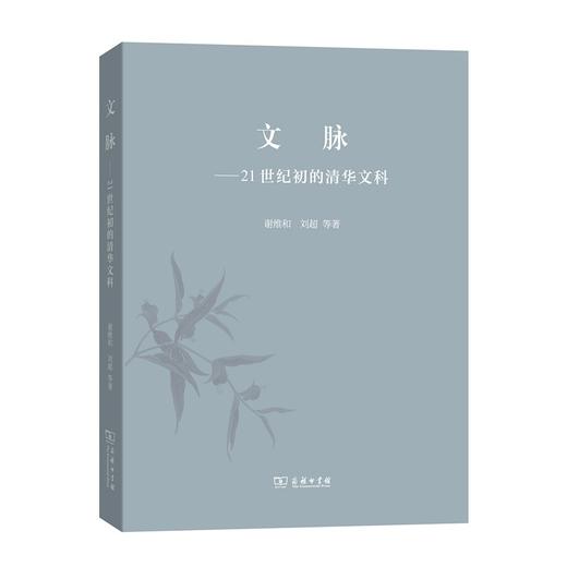 文脉——21世纪初的清华文科 商品图0