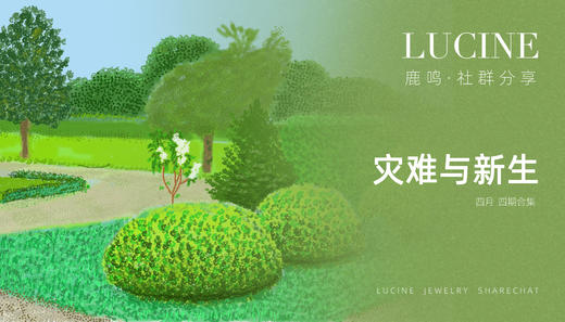 灾难与新生 商品图0