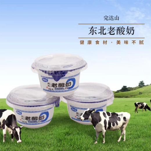 【9.9元/组】完达山东北老酸奶140g*4（0402616） 商品图0