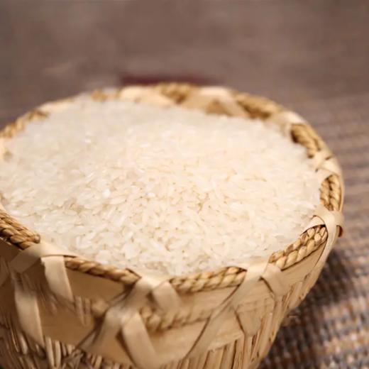 【甄选好礼】码帮粮品 妈妈米呀正宗五常稻花香2号 给孩子吃的放心大米 黑龙江五常水稻研究所基地大米 精品礼盒真空包装 （3568年卡） 商品图3