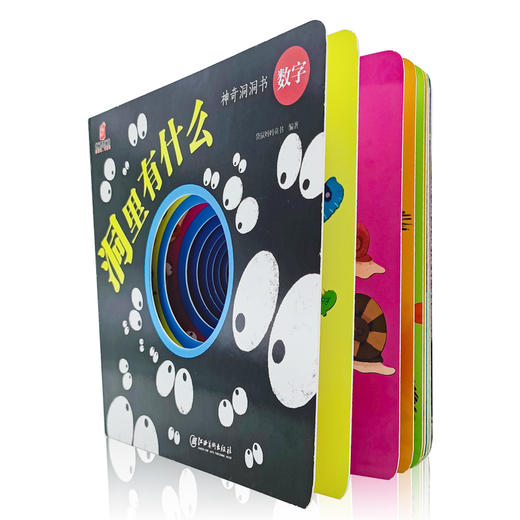 ds神奇洞洞书：洞里有什么 商品图1