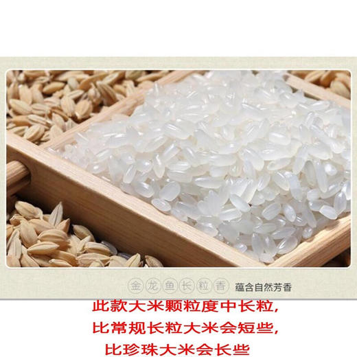 金龙鱼东北优选长粒香米5kg 商品图4