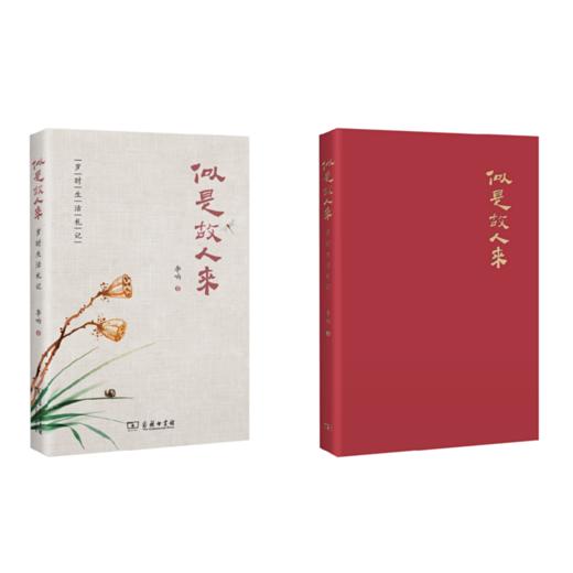 似是故人来——岁时生活札记 商品图0