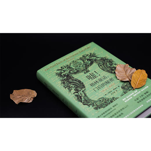 嘘！格林童话，门后的秘密 —— 写给大人看的书//守望者 商品图3