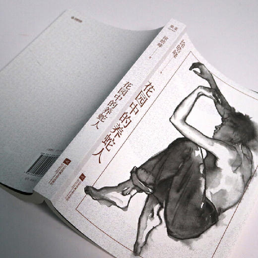 花园中的养蛇人（徐皓峰中短篇小说集，文学天赋初显之作，黑色幽默和天马行空的想象力交相辉映） 商品图2