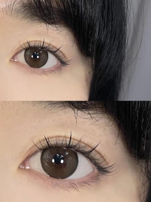 （年抛）TICCMAY 琥珀泪 14.2mm 着色13.5mm 商品图1