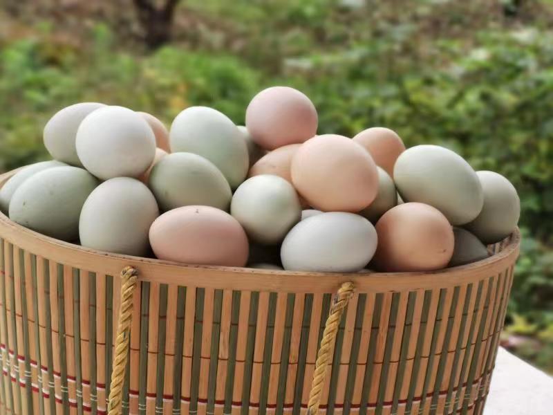 【助农】雨露河谷土鸡蛋30枚