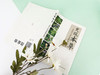 发现本草:常用中草药识别妙用公开课 商品缩略图4