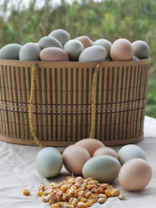 【助农】雨露河谷土鸡蛋30枚 商品图8