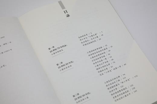 小康的真谛 商品图4