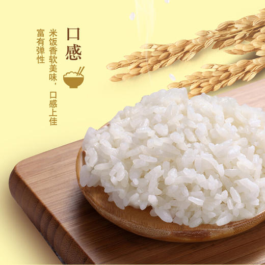 金龙鱼优质东北大米5kg 商品图1