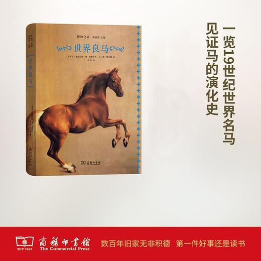 世界良马(博物之旅) 商务印书馆 商品图0