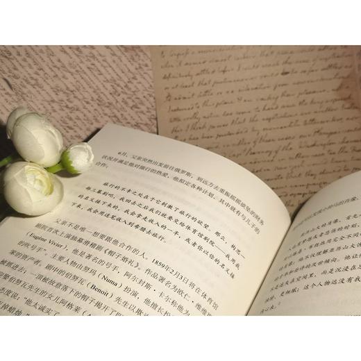 小仲马传：反俄狄浦斯者 商品图5