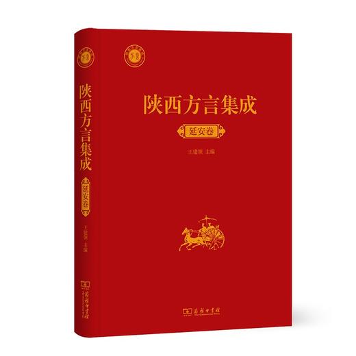 陕西方言集成·延安卷 王建领 主编 商品图0