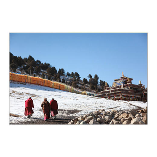 透过佛法看世界给寻找答案的人中信出版社图书佛教"法缘宗族"研究 商品图2