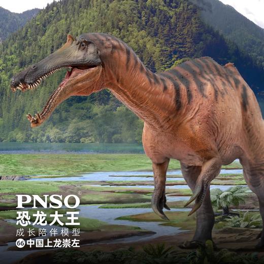 PNSO中国上龙崇左恐龙大王成长陪伴模型66 商品图0