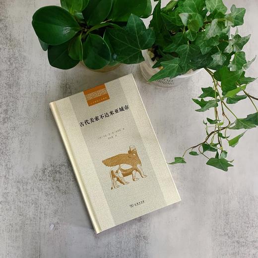 古代美索不达米亚城市（二十世纪人文译丛） 商品图1