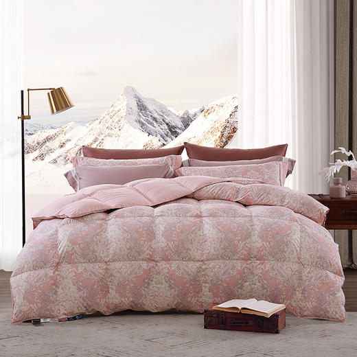 维纳斯可水洗鹅绒春秋被 商品图0