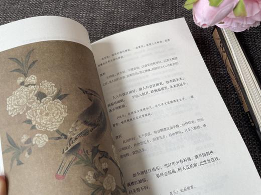 【现货！48小时发货】慢读吧系列：花间集+东坡乐府+诗经选+纳兰词（共4册） 商品图8