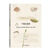 千里走海湾(自然文库) 商品缩略图0
