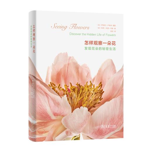 怎样观察一朵花——发现花朵的秘密生活 商品图0
