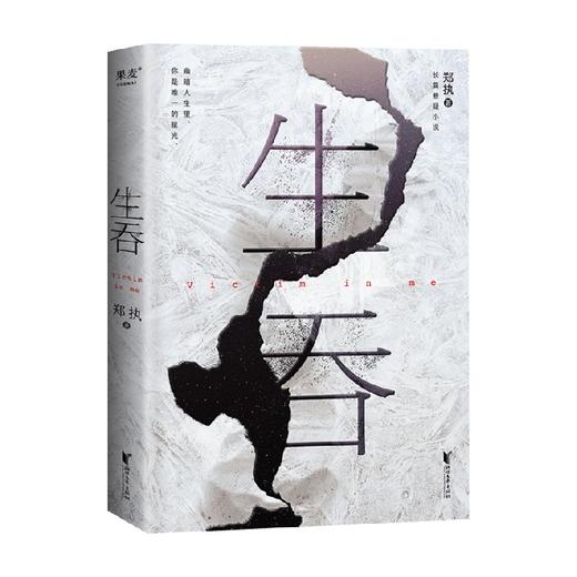 生吞 郑执 2022新版夜光书封 短剧集《胆小鬼》原著作者亲自担纲编剧 悬疑 惊悚 长篇悬疑小说 商品图3